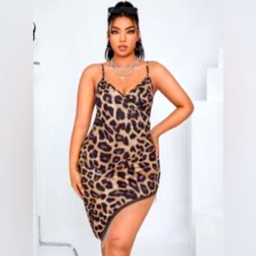 Leopard Print Dress